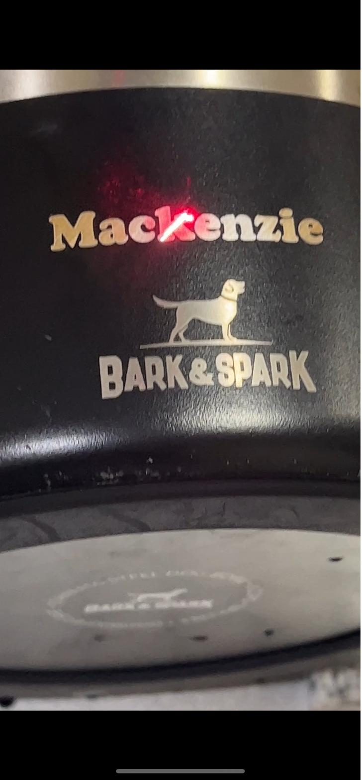 Personalized stainless dog bowl engraved with a fiber laser